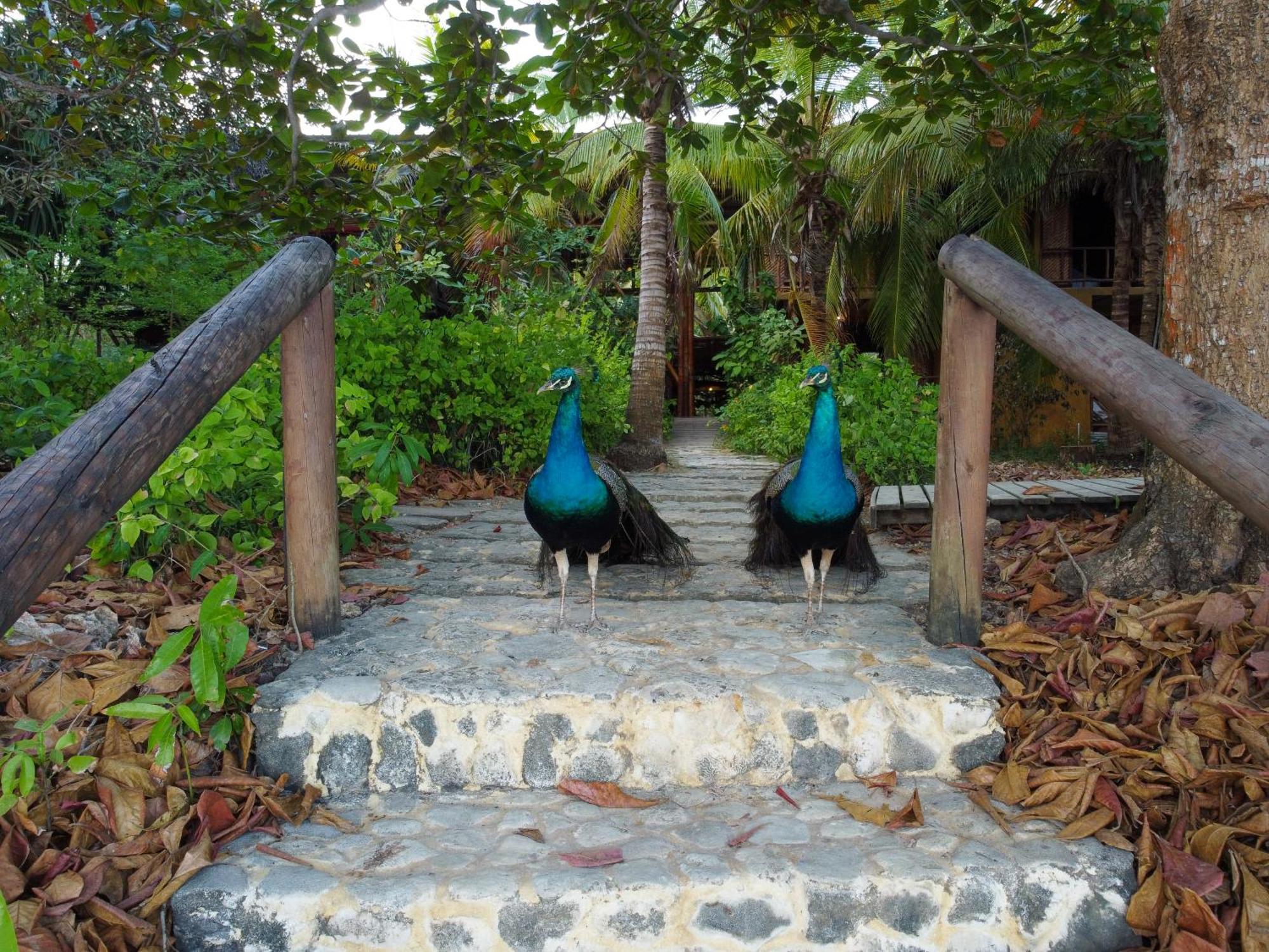 Isla Fuerte Eco House Villa Puerto Limon Dış mekan fotoğraf