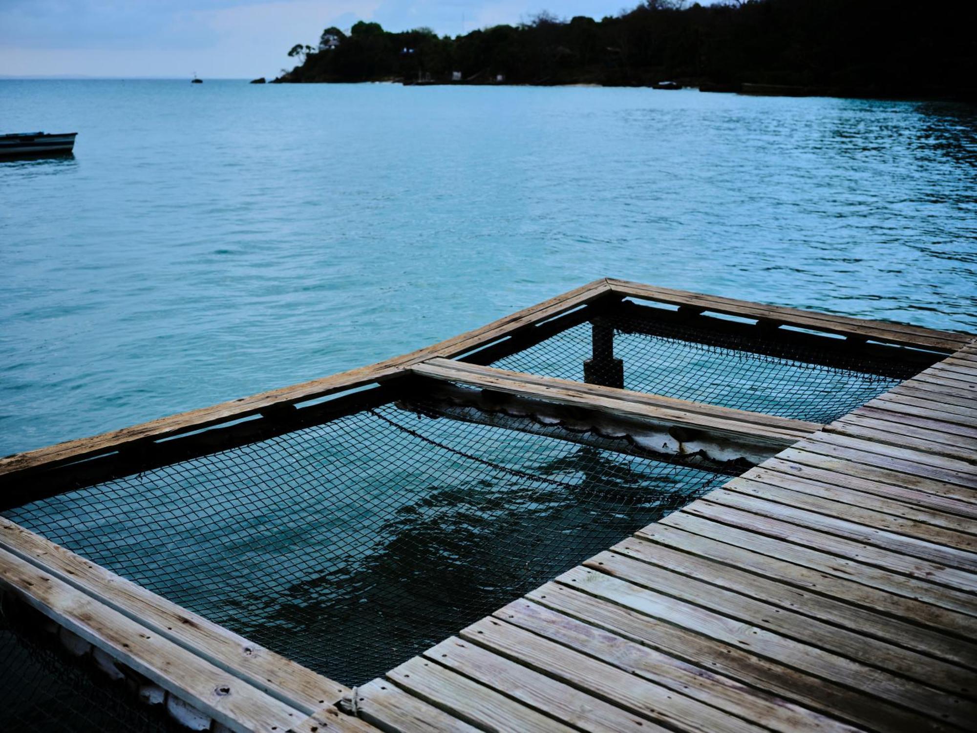 Isla Fuerte Eco House Villa Puerto Limon Dış mekan fotoğraf
